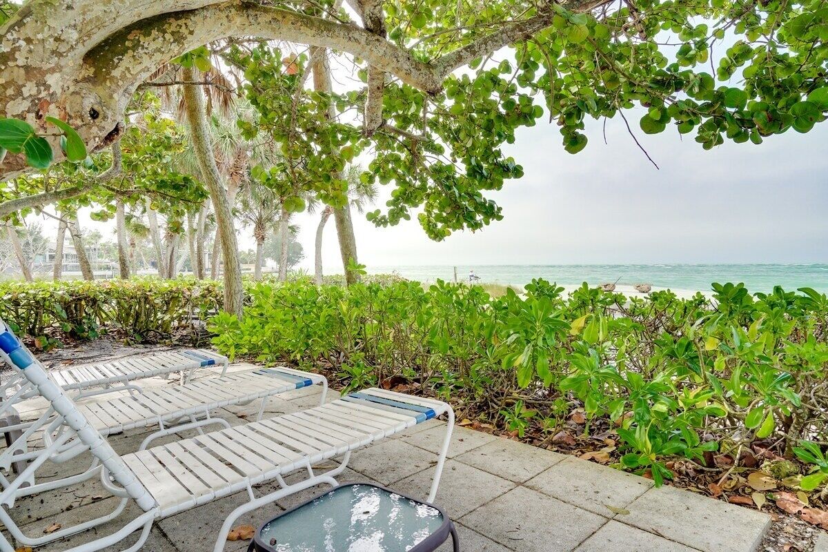 Terrain de l’hébergement 