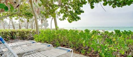 Terrain de lâhĂ©bergement