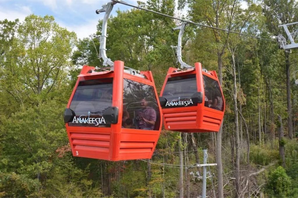 Deux téléphériques rouges portant l’inscription « Anakeesta » sont suspendus à des câbles au-dessus d’une zone boisée.