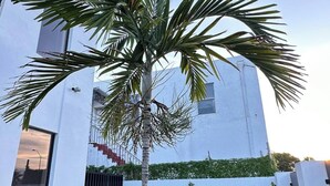 Um edifício moderno com fachada branca, uma palmeira no centro e um pequeno pátio com duas cadeiras Adirondack e um vaso de planta.