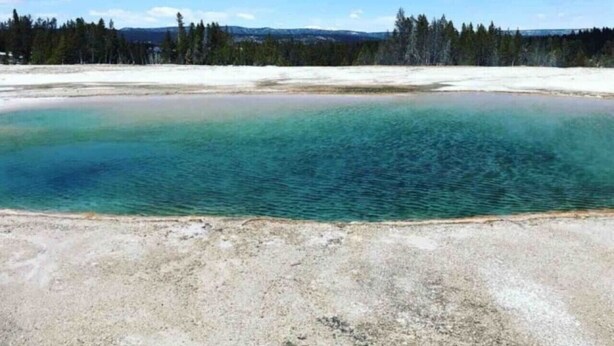 Eine natürliche Landschaft mit klarem Gewässer, einem sandigen Ufer und bewaldeter Kulisse.