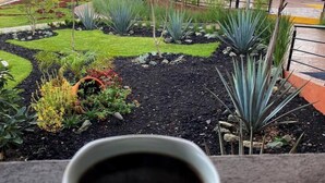Una taza de café sobre un plato, con vistas a un jardín ajardinado con diversas plantas y una vista distante de edificios.