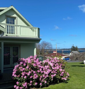 A light green house with a balcony, a pink flowering bush in the front, and a view of the sea and hills in the background.