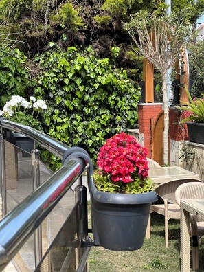 Garden - Ada Konak Otel Urla (Urla)