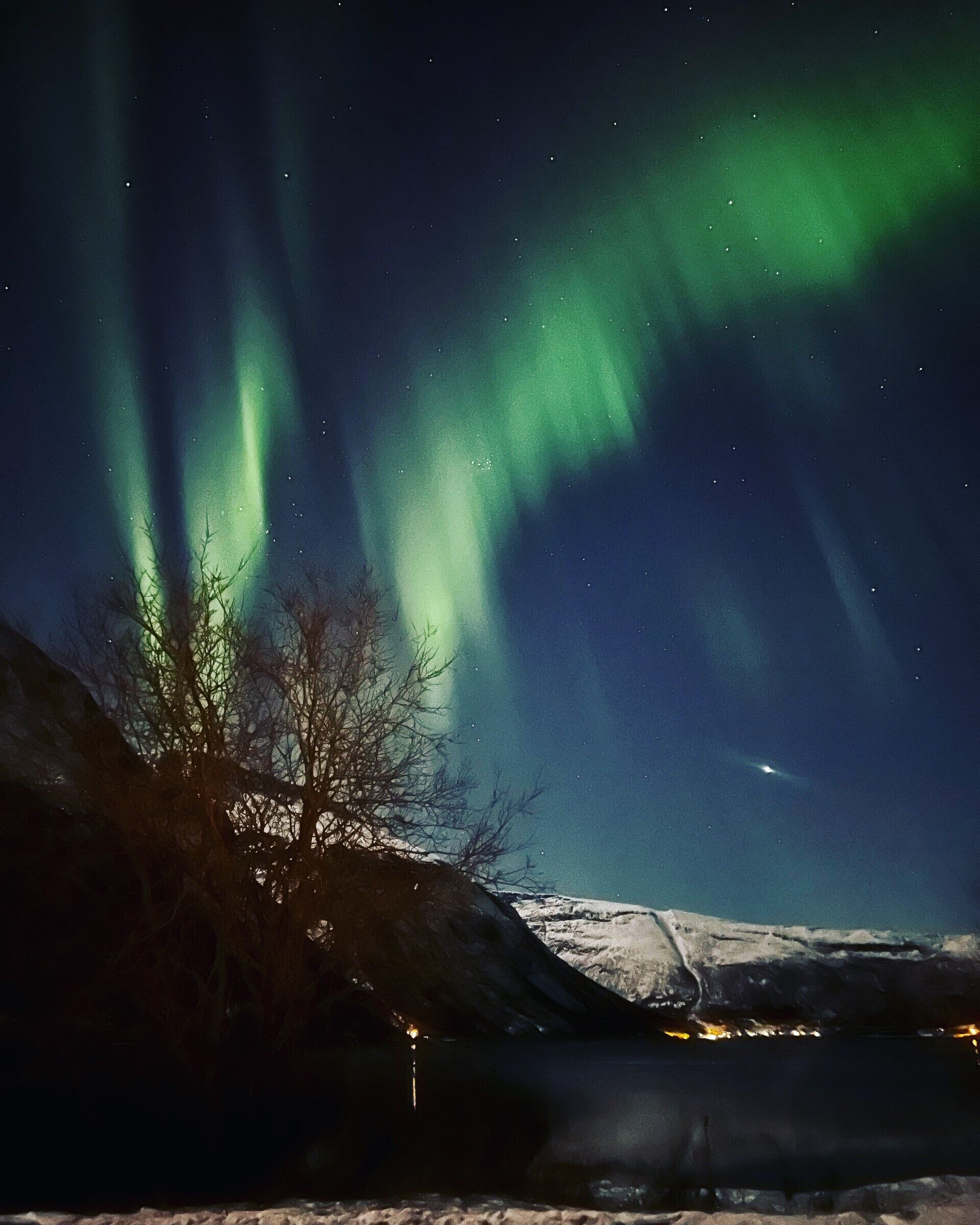 En stjärnklar natthimmel med norrsken över ett snötäckt landskap.