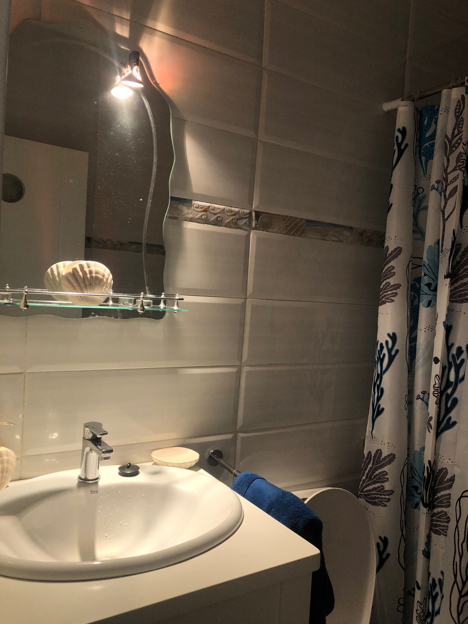 Douche, serviettes fournies, papier toilette