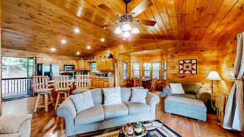 Televisión, chimenea, reproductor de DVD y libros