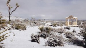 A snow-covered landscape with a gazebo and Joshua trees. - Desert Star Home (Yucca Valley)