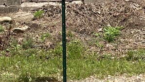 A sign for "The Pier Hummingbird Parking" with a building in the background. - Hummingbird Cottage: Cozy Rustic Lakefront Escape at The Pier, Perfect for 7! (Union City)
