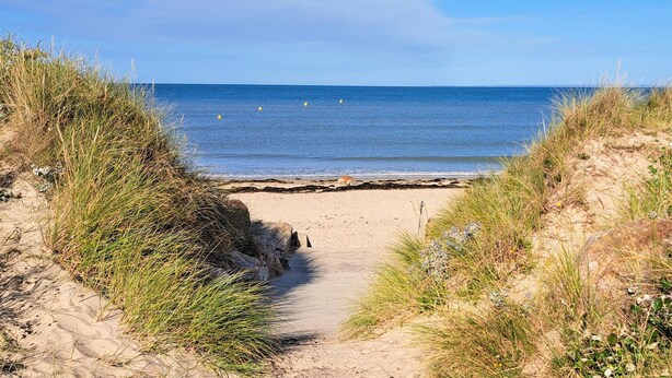 Ein Sandweg am Strand, gesäumt von Gras und Dünen, der zum Meer führt.