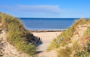 En sandig stig som leder till havet, omgiven av gräs och sanddyner.