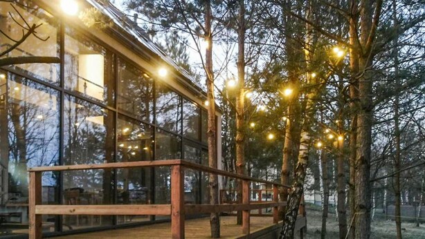 A wooden deck with glass railings overlooking a forested area.