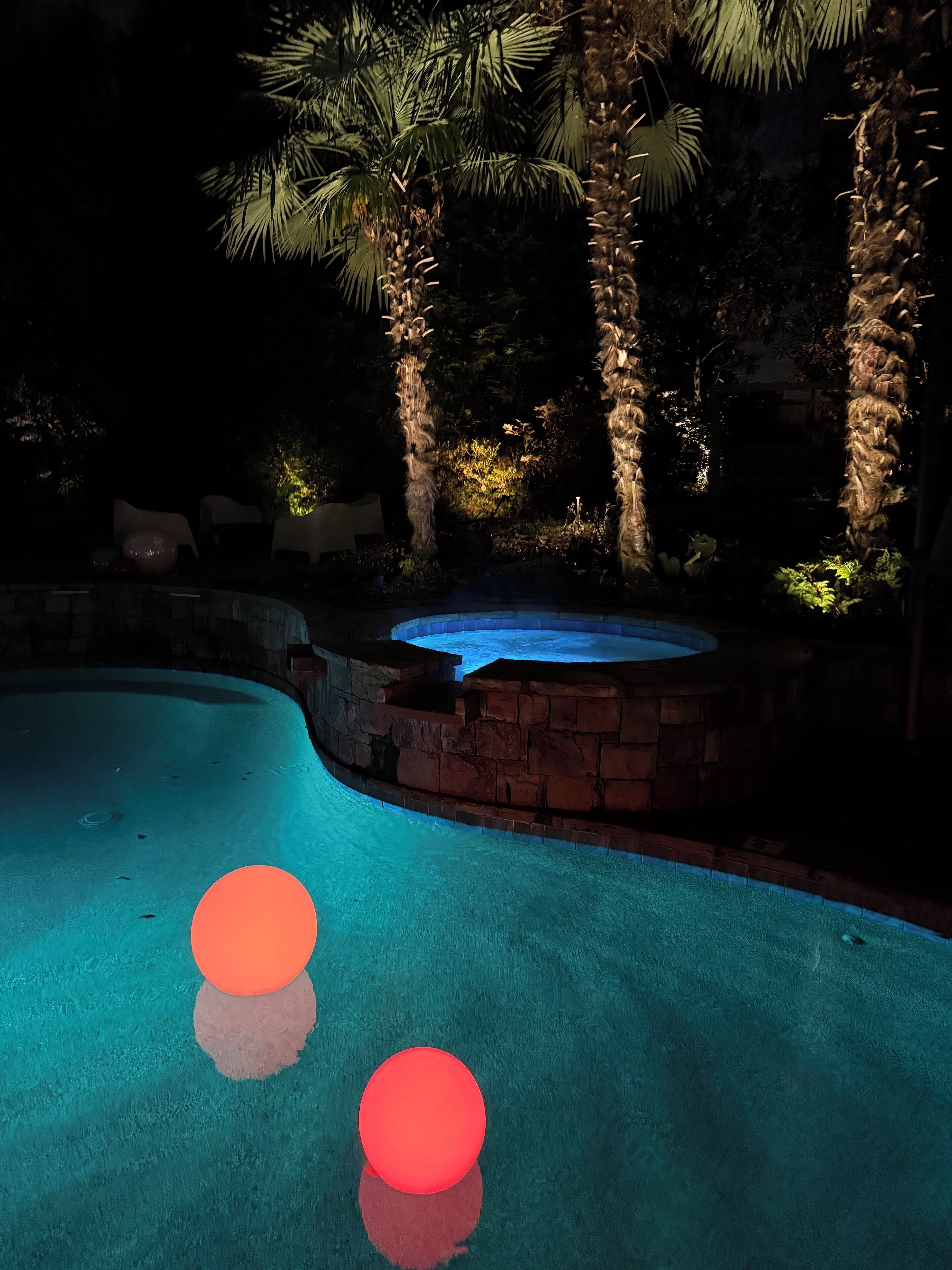 A swimming pool with a hot tub and palm trees.