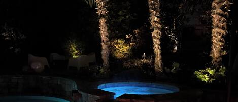 A swimming pool with a hot tub and palm trees.