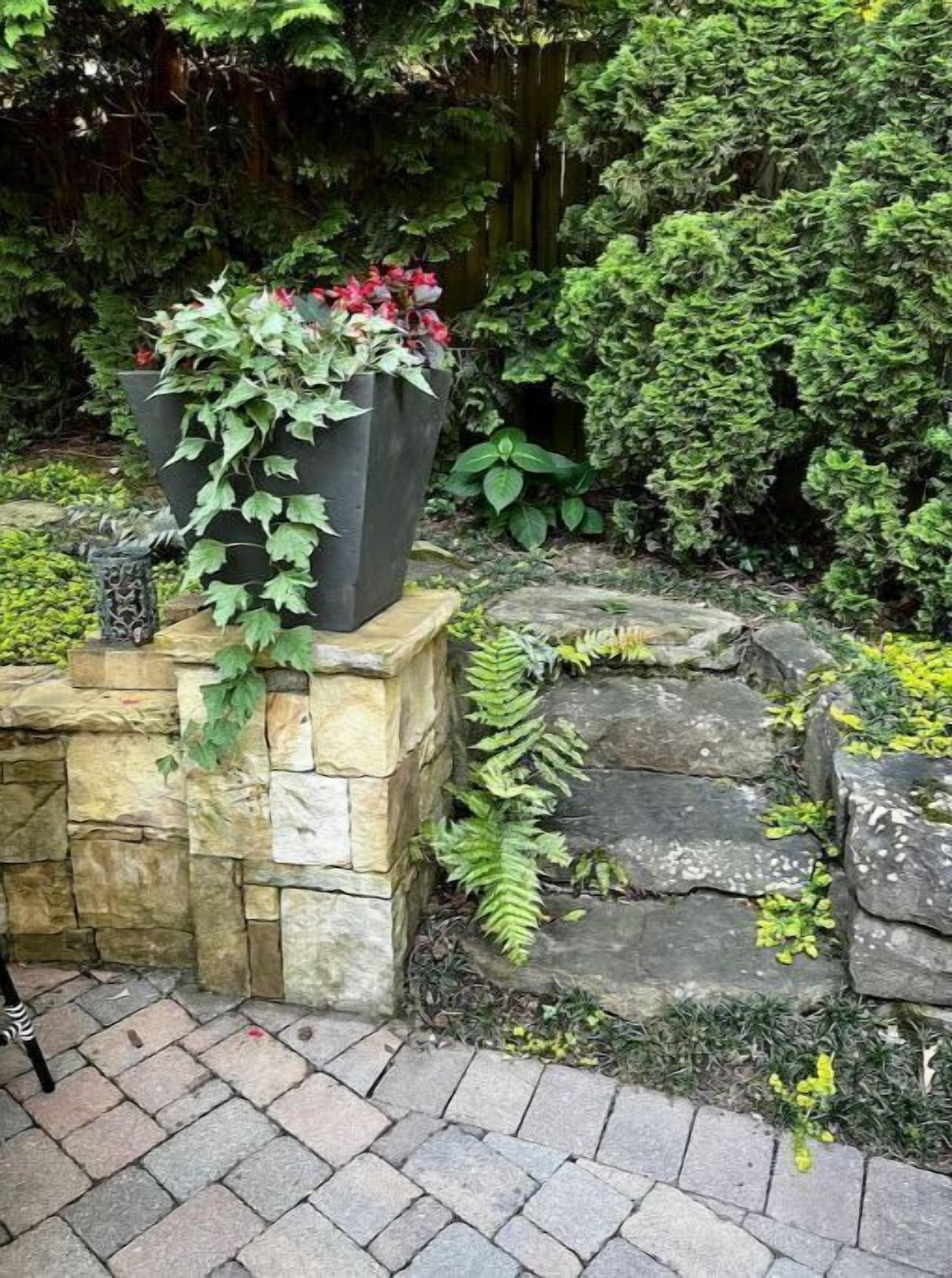 Parco della struttura