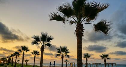 Unwind by the Coast at Porto Said Chalets