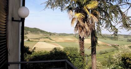 La Culla Tra I Vigneti