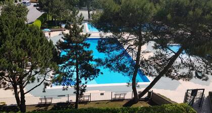 Renovated Flat in Pool Paradise - Beahost
