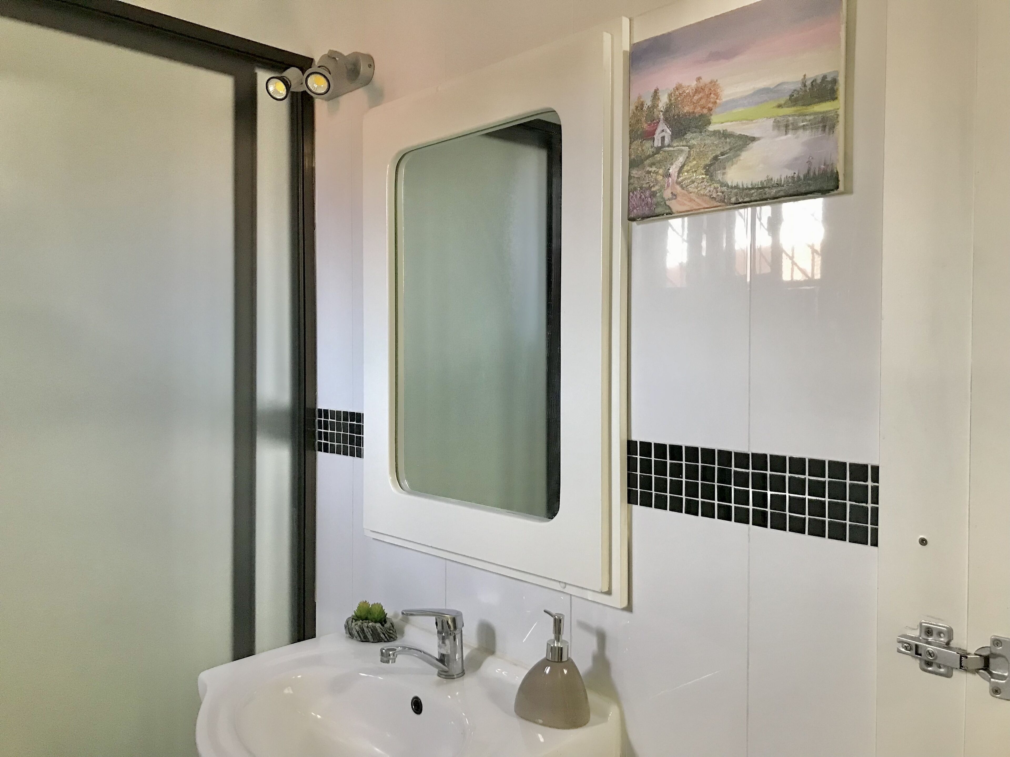 A bathroom with a white sink, a mirror, and a small potted plant.