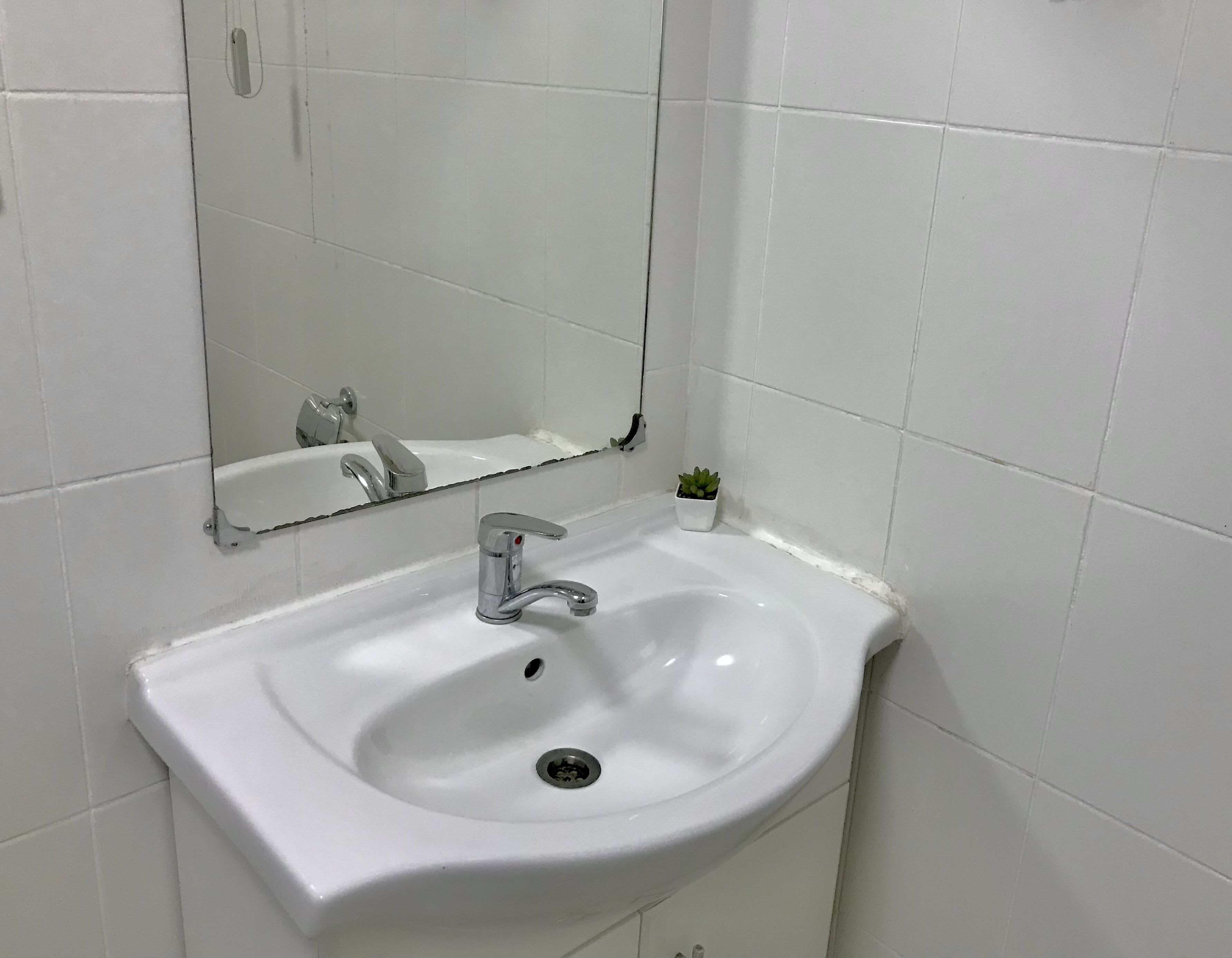 A bathroom with a white sink, a mirror, and a small potted plant.