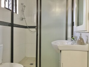 Une salle de bain équipée d’une douche, de toilettes, d’un lavabo et d’un miroir.