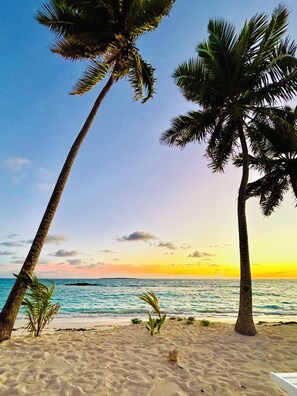 Een strand met palmbomen en uitzicht op de oceaan.
