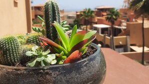 Una colección de cactus en macetas en un balcón con vistas a edificios y palmeras.