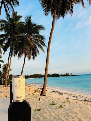 Una botella de vino Sky Essence en una playa con palmeras y cielo despejado.