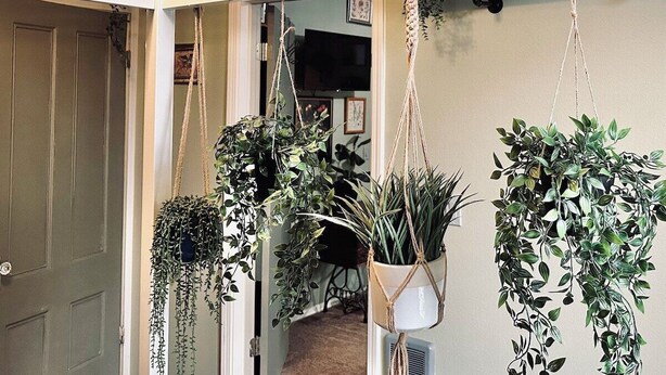 Un couloir décoré de plantes suspendues et orné d’une maquette de bateau posée sur une étagère.