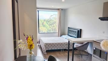 1 habitación, wifi gratis y ropa de cama