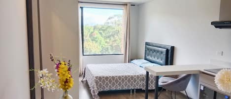 Comfort Apartment | 1 bedroom, free WiFi, bed sheets