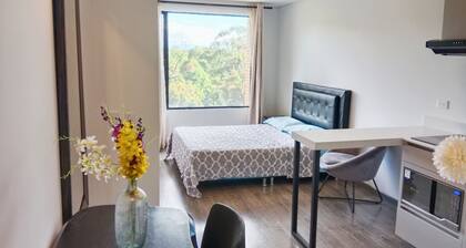 Rolo Aptos Amoblados Valmont