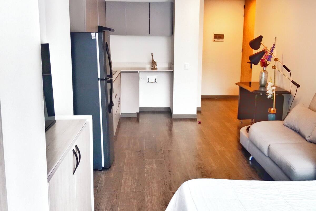 Un espace de vie moderne et compact, comprenant un coin cuisine, un canapé et un lit.