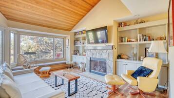 Smart TV, fireplace, books