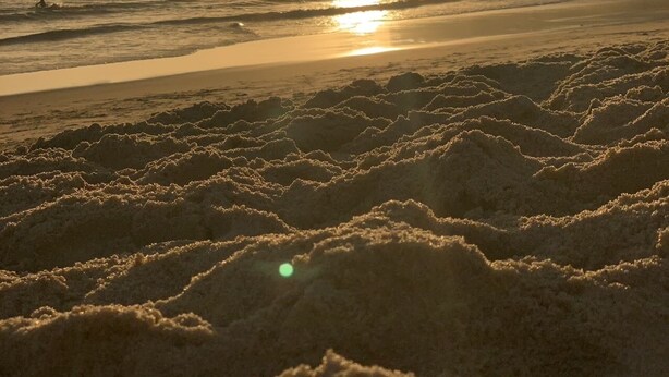 A beach with sand dunes and a sunset over the ocean. - WEAA Hotel (Nazaré)