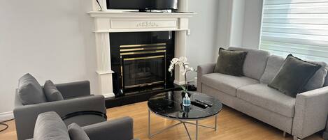 智能电视、壁炉