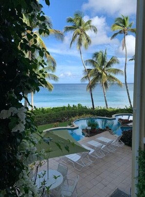 Pool - Dreamy Beachfront Condo In Quiet Compound (Tobago)