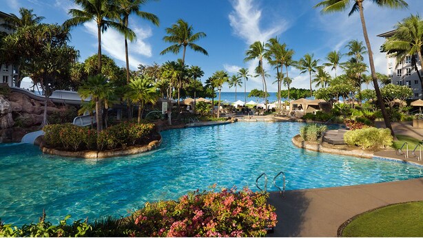 A large outdoor swimming pool surrounded by palm trees and tropical plants, with a clear blue sky above.