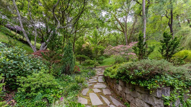 A stone pathway through a lush garden with various plants and trees.