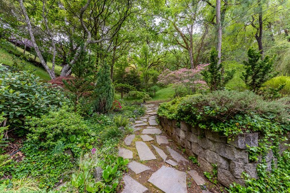 Property grounds - Luxury Home walking distance to Downtown (Ukiah)