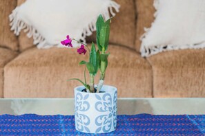 A potted plant sits on a table with a woven placemat, complemented by a comfortable sofa with white fringed cushions.