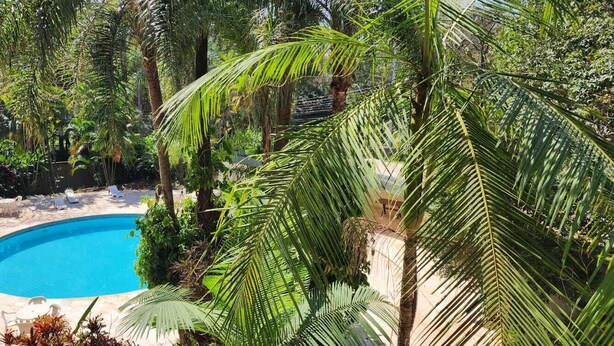 Una piscina rodeada de exuberante vegetación y palmeras, con agua cristalina y sillas de descanso blancas.