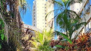 Un sendero pavimentado que lleva a una escalera, rodeada de exuberante vegetación tropical y palmeras.