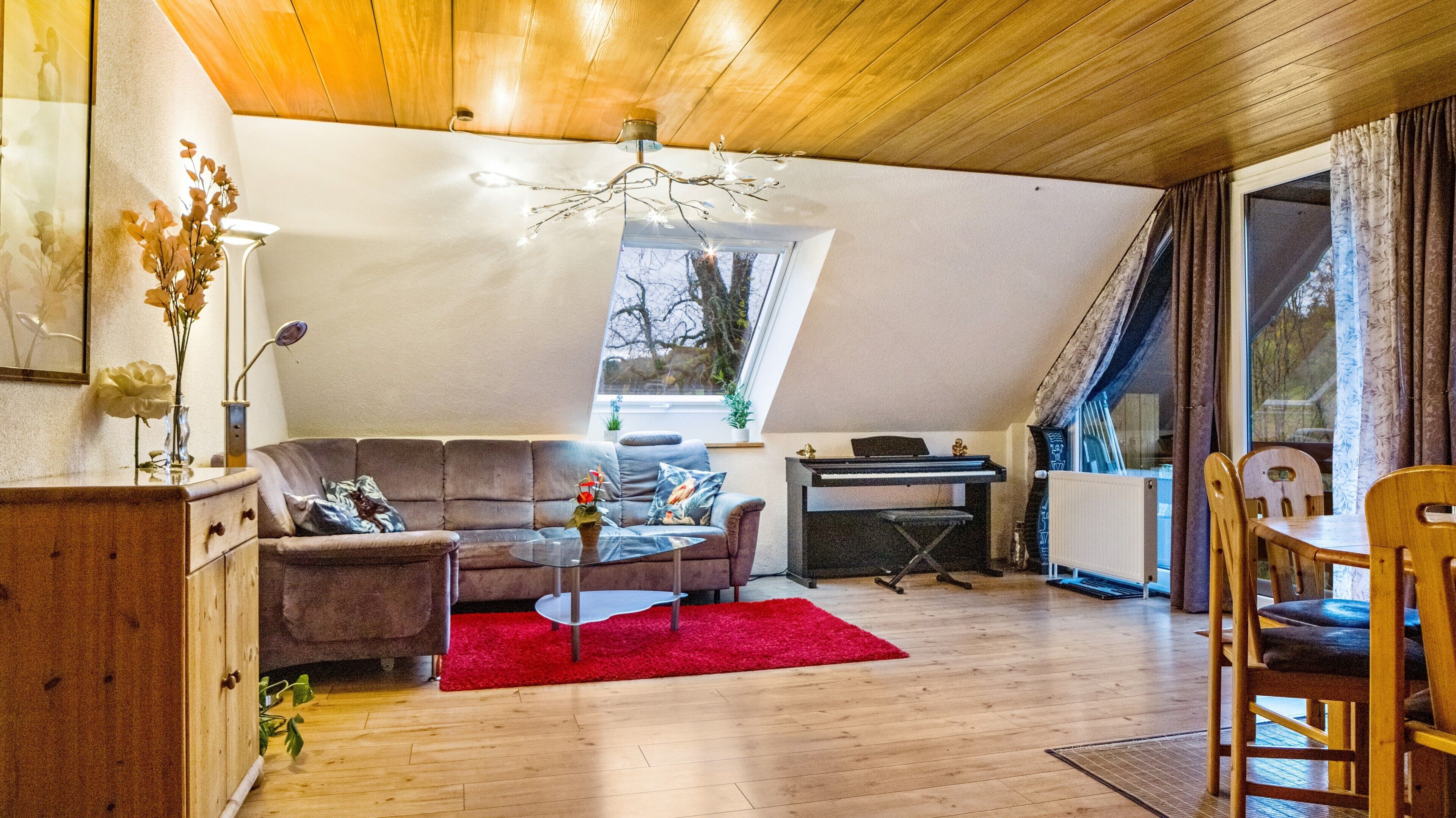 Télévision, lecteur de DVD, table de tennis de table, chaîne hi-fi