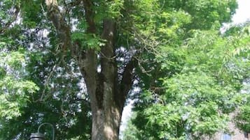 Enceinte de lâhĂ©bergement