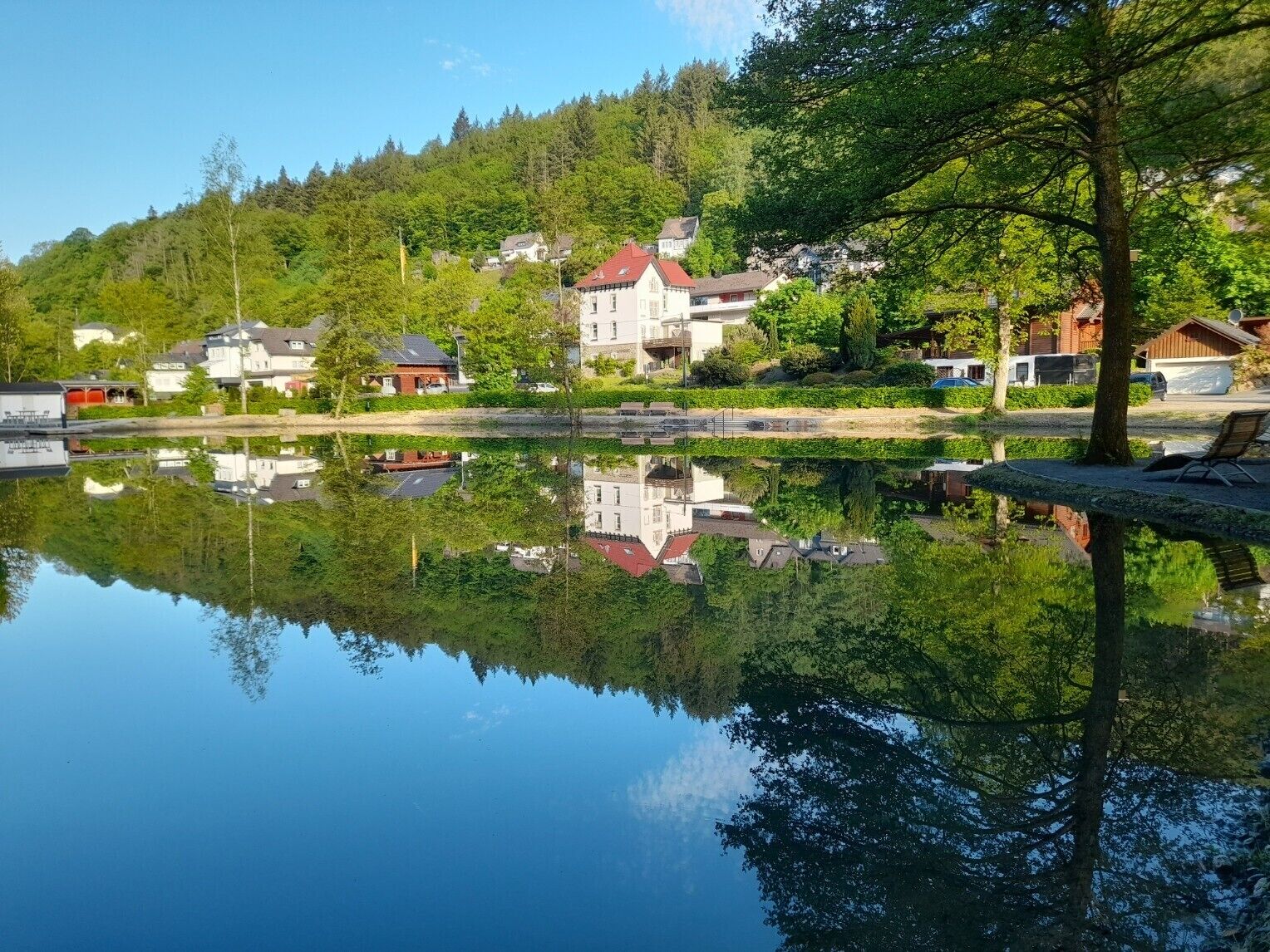 A lakeside view with houses, a clear reflection, and a tree in the foreground.