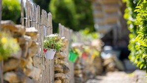 Un muro de piedra con una cerca de madera, un sendero estrecho y vegetación.