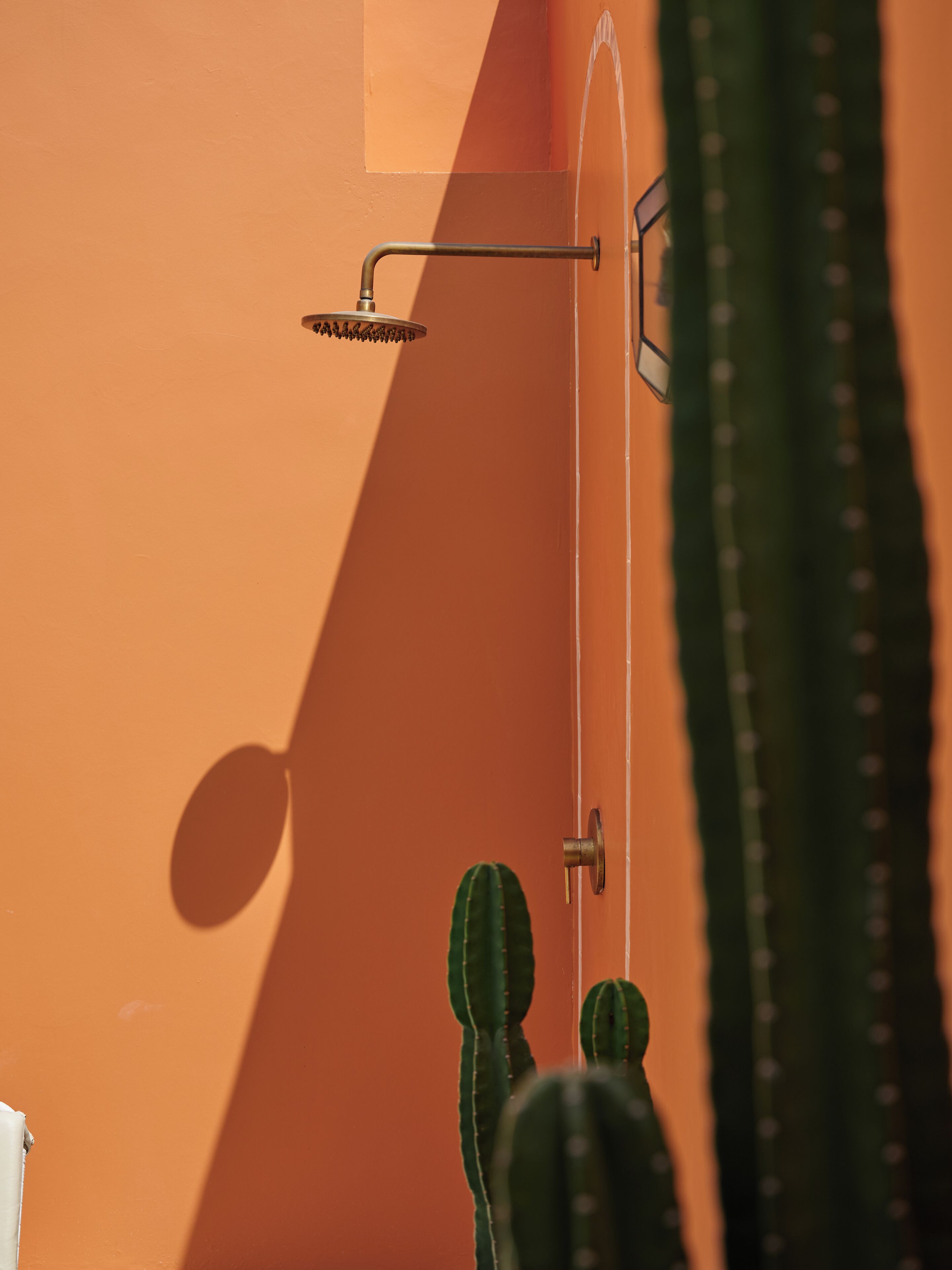 A shower with a curved hose and a metal rack.