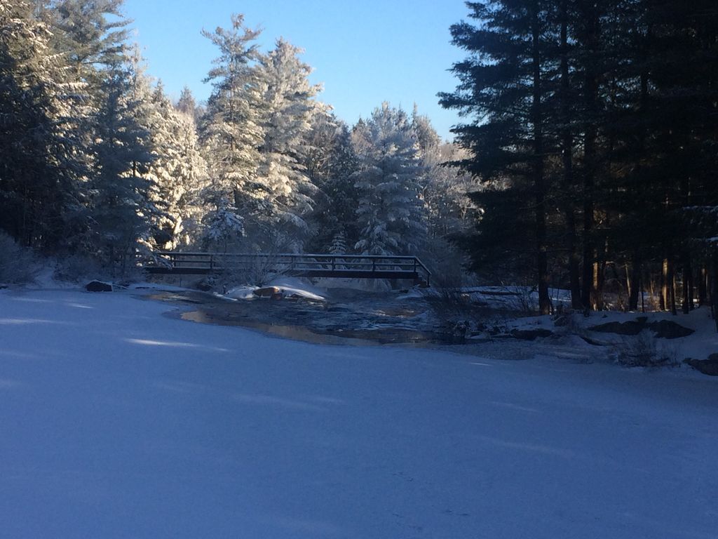 A snow-covered landscape with a bridge and dense trees.
