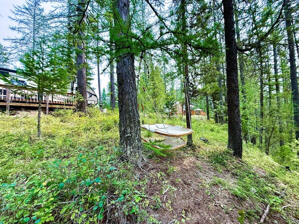 A forested area with a hammock hanging from a tree, a wooden deck, and a building in the background.